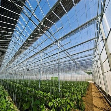 Agricultură PV Mount Structuri