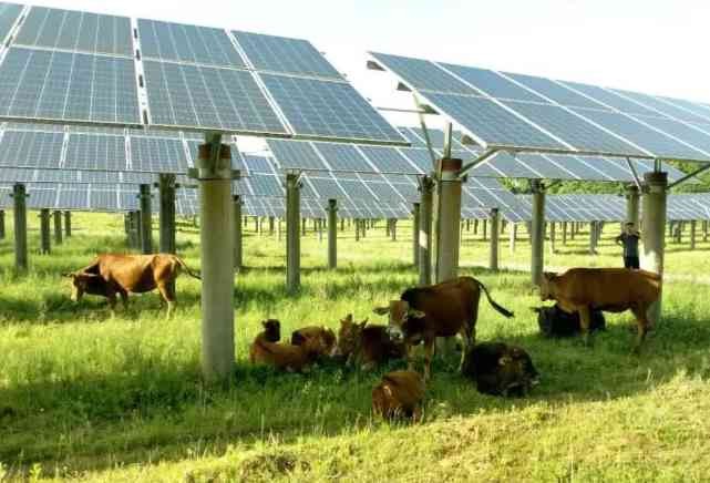 Concrete Piles Solar Mounting