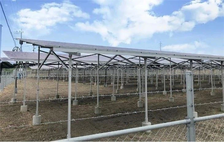Large-Scale Solar Farm Mounting: Corrosion-Resistant Ground Racking Kit price